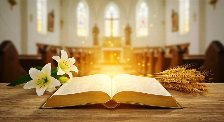 JPG 편집이미지 꽃 종교 교회 성경 기도 분위기 축복 백합 밀 예배 신성 찬양 봉헌 이미지편집 AI컴퓨터그래픽 AI콘텐츠 식물 컨셉 종교용품 종교건축 곡류 건물 파일형식