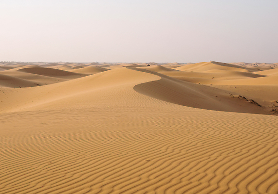 JPG 편집이미지 모래 여행 곡선 자연 풍경 태양 환경 고요 사막 다양 탐험 언덕 베트남 지형 편집실사 AI포토 AI콘텐츠 자연요소 선 다수 동남아시아 CG 생태계 파일형식