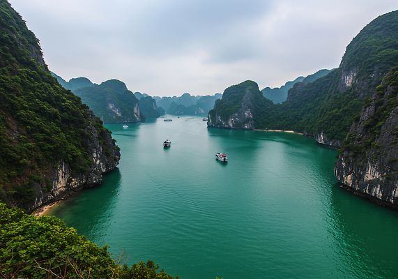 JPG 구름 편집이미지 바다 여행 조류 산 파란색 관광지 평화 수상_상을받음 기암괴석 베트남 하롱베이 선박 편집실사 AI포토 AI콘텐츠 자연요소 동물 컬러 컨셉 수상교통 동남아시아 바위_돌 CG 파일형식