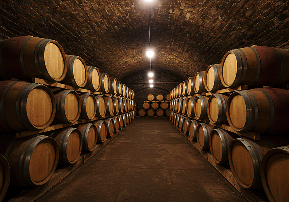 JPG 나무 편집이미지 전통 산업 음료 조명 와인 어둠 공간 맛 향 보르도 숙성 양조장 저장소 배럴 와인축제 편집실사 AI포토 AI콘텐츠 식물 컨셉 주류 축제 CG 클라리넷 파일형식