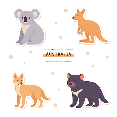 동물 야생동물 일러스트 자연 생물 동물원 환경 다양 관찰 호주 보호 대륙 그림 생태계 캥거루 코알라 서식지 국내일러스트 AI파일 다수 컨셉 포유류 모션 오세아니아 파일형식 벡터