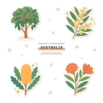 나무 식물 디자인 꽃 예술 상징 컬러 일러스트 자연 환경 호주 생태 공예 특산물 조화 뷰티풀 특징 국내일러스트 AI파일 취미 오세아니아 생태계 파일형식 벡터