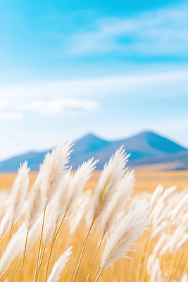 JPG 식물 편집이미지 컬러 자연 하늘 산 갈대 풍경 초원 평화 고요 가을 억새 뷰티풀 편집실사 AI포토 AI콘텐츠 계절 컨셉 CG 생태계 파일형식