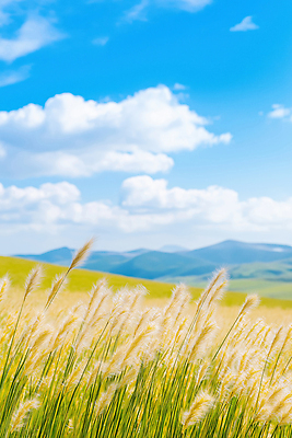 JPG 구름 편집이미지 자연 하늘 바람 산 풍경 초원 여름 파란색 평화 맑음 가을 억새 접착풀 편집실사 AI포토 AI콘텐츠 자연요소 식물 계절 컬러 컨셉 날씨 문구용품 풀_접착제 CG 생태계 파일형식