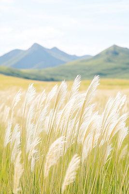 JPG 편집이미지 자연 하늘 바람 산 갈대 풍경 초원 초록색 평화 환경 가을 언덕 억새 길이 뷰티풀 편집실사 AI포토 AI콘텐츠 자연요소 식물 계절 컬러 컨셉 날씨 CG 생태계 파일형식