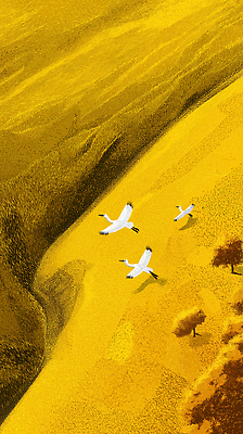 JPG 동물 일러스트 자연 조류 하늘 풍경 초원 여름 햇빛 평화 고요 금색 비행 생태 백로 조화 서식지 기러기 뷰티풀 국내일러스트 AI일러스트 AI콘텐츠 계절 컬러 컨셉 태양 생태계 파일형식