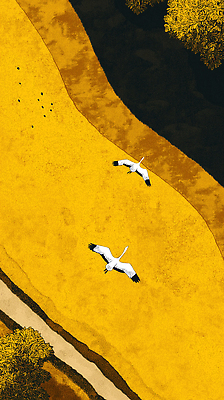 JPG 나무 모래 일러스트 자연 조류 하늘 풍경 초원 여름 햇빛 평화 비행 물가 둥지 강가 생태계 백조 조용 국내일러스트 AI일러스트 AI콘텐츠 식물 동물 계절 컨셉 강 태양 파일형식