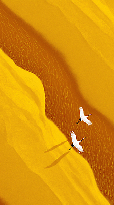 JPG 동물 모래 일러스트 자연 조류 생명 날씨 그림자 풍경 라이프 공중 노란색 평화 환경 사막 비행 생태 저녁 백로 조화 국내일러스트 AI일러스트 AI콘텐츠 컬러 컨셉 생활 야간 생태계 파일형식