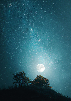 JPG 나무 편집이미지 별 자연 밤하늘 하늘 조명 산 풍경 어둠 고요 보름달 달빛 은하수 뷰티풀 이미지편집 AI컴퓨터그래픽 AI콘텐츠 자연요소 식물 달 야간 생태계 파일형식
