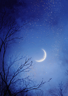 JPG 편집이미지 별 자연 밤하늘 날씨 파란색 빛 평화 우주 어둠 고요 달 숲속 숲 초승달 이미지편집 AI컴퓨터그래픽 AI콘텐츠 자연요소 컬러 컨셉 하늘 야간 생태계 파일형식