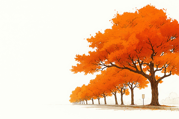 JPG 나무 도로 여유 여행 단풍 일러스트 자연 날씨 거리 풍경 햇빛 주황색 고요 산책로 가을 주말 위치 조화 뷰티풀 색채 국내일러스트 AI일러스트 AI콘텐츠 식물 계절 감정 길 컬러 잎 교통시설 태양 생태계 파일형식