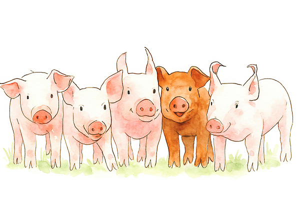 JPG 동물 컬러 일러스트 가족 자연 생명 함께함 표정 풍경 잔디 초원 농장 귀여움 성장 돼지 축사 생태계 아기자기 국내일러스트 AI일러스트 AI콘텐츠 식물 건축물 컨셉 농업 포유류 관계 축산업 파일형식