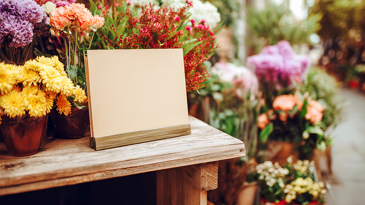 JPG 식물 편집이미지 꽃 화초 컬러 자연 간판 장식 도시 화려 시장 주말 생화 플로리스트 편집실사 AI포토 AI콘텐츠 직업 컨셉 CG 생태계 파일형식