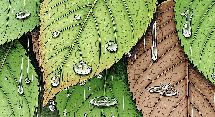 JPG 식물 일러스트 자연 생명 나뭇잎 관리 초록색 갈색 환경 감상 촉촉함 물방울 비 균열 이슬 조화 뷰티풀 특별함 수분_꽃가루 국내일러스트 AI일러스트 AI콘텐츠 자연요소 컬러 컨셉 잎 모션 날씨 젖음 생태계 파일형식