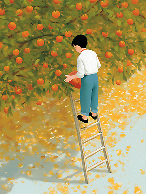 JPG 나무 식물 열매 어린이 잎 농업 과일 일러스트 사다리 모션 자연 하늘 풍경 소년 일상 농사 주황색 수확 가을 사과 그림 국내일러스트 AI일러스트 AI콘텐츠 계절 남자 산업 컬러 사람 라이프 도구 생태계 파일형식