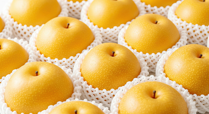 JPG 편집이미지 과일 포장 건강 농작물 노란색 전시 수확 신선 배 시장 선택 달콤 맛 상품 일렬 편집실사 AI포토 AI콘텐츠 컬러 컨셉 농업 CG 파일형식