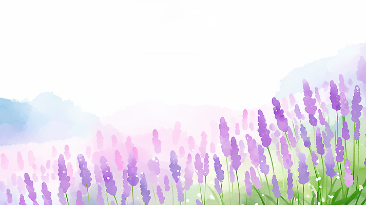 JPG 식물 꽃 컬러 일러스트 자연 아침 풍경 초원 야외 여름 농장 평화 보라색 봄 향기 그라데이션 라벤더 풍경화 국내일러스트 AI일러스트 AI콘텐츠 주간 계절 컨셉 농업 허브 그림 생태계 냄새 파일형식