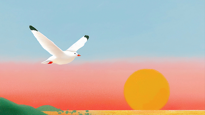 JPG 동물 바다 컬러 하늘색 일러스트 자연 갈매기 하늘 풍경 평화 일몰 자유 비행 저녁 언덕 조용 뷰티풀 국내일러스트 AI일러스트 AI콘텐츠 컨셉 조류 파란색 노을 야간 생태계 파일형식