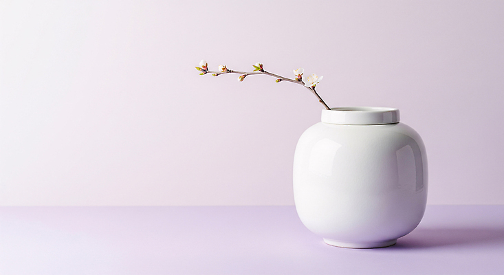 JPG 편집이미지 꽃 자연 가지 장식 인테리어 꽃병 보라색 봄 도자기 오브젝트 모던 백자 싱그러움 편집실사 AI포토 AI콘텐츠 식물 디자인 계절 컬러 채소 CG 생태계 파일형식