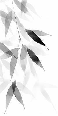 JPG 식물 여유 예술 컬러 잎 일러스트 자연 생명 흑백 실내 건강 미술 평화 대나무 묘사 그라데이션 조화 뷰티풀 국내일러스트 AI일러스트 AI콘텐츠 나무 감정 컨셉 문화예술 촬영기법 내부 생태계 파일형식