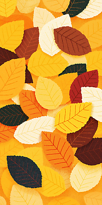 JPG 나무 계절 컬러 백그라운드 단풍 일러스트 자연 나뭇잎 바닥 풍경 빨간색 여름 주황색 금색 가을 떨어짐 질감 화사함 뷰티풀 생동감 풍요 국내일러스트 AI일러스트 AI콘텐츠 식물 컨셉 잎 생태계 파일형식