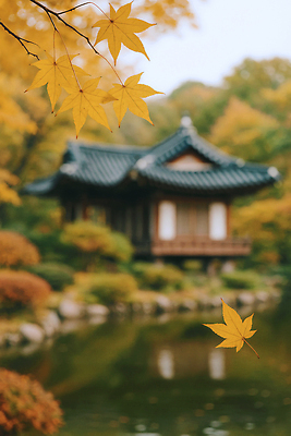 JPG 나무 편집이미지 전통 호수 여행 단풍 자연 한옥 한국 풍경 노란색 정원 고요 가을 뷰티풀 편집실사 AI포토 AI콘텐츠 식물 한국전통 계절 아시아 컬러 고건축 잎 CG 생태계 파일형식