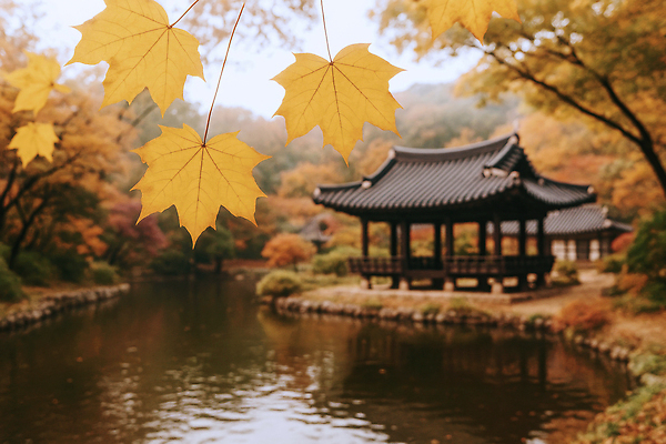 JPG 나무 편집이미지 컬러 여행 단풍 잎 자연 산 한국 풍경 평화 고요 가을 연못 정자 조경 편집실사 AI포토 AI콘텐츠 식물 건축물 계절 아시아 컨셉 CG 생태계 파일형식