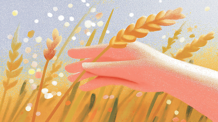 JPG 손 컬러 포즈 일러스트 자연 생명 따뜻함 풍경 여름 농작물 햇빛 농사 수확 성장 밀 이삭 밀밭 풍요 국내일러스트 AI일러스트 AI콘텐츠 계절 컨셉 밭 농업 곡류 신체부위 태양 생태계 파일형식