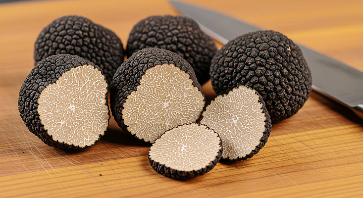 JPG 편집이미지 식재료 재료 자연 식탁 검은색 신선 맛 준비 질감 향 레시피 편집실사 AI포토 AI콘텐츠 트러플 컬러 컨셉 탁자 버섯 CG 생태계 파일형식