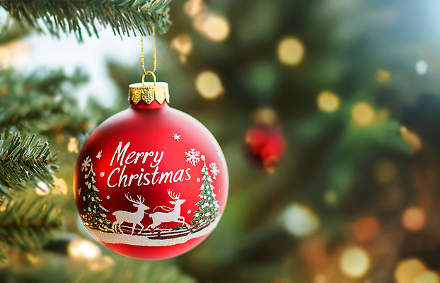 JPG 편집이미지 기념일 행복 크리스마스 겨울 가족 조명 사랑 장식 빨간색 친구 크리스마스트리 축제 분위기 구슬 연말 오너먼트 편집실사 AI컴퓨터그래픽 AI콘텐츠 계절 감정 컬러 컨셉 크리스마스장식 관계 이벤트 CG 파일형식