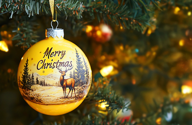 JPG 편집이미지 크리스마스장식 크리스마스 겨울 자연 사슴 산 장식 크리스마스트리 축제 금색 눈 플라스틱 뷰티풀 오너먼트 편집실사 AI컴퓨터그래픽 AI콘텐츠 자연요소 계절 기념일 컬러 포유류 재질 날씨 CG 생태계 파일형식