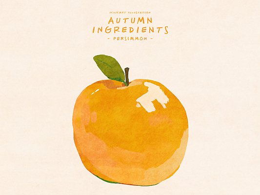 PSD 사계절 예술 다이어트 과일 일러스트 식재료 재료 자연 수채화 한국 건강 감 초록색 노란색 가을 비타민 먹거리 국내일러스트 영양군 계절 아시아 음식 컬러 경상북도 생태계 영양소 파일형식