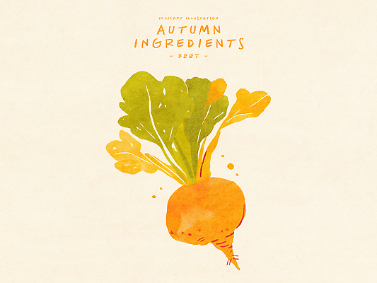 PSD 음식 컬러 농업 채소 일러스트 자연 건강 요리 생활 농작물 수확 유기농 채식 나물 유산소운동 비트 제철 비건 국내일러스트 영양군 웰빙 산업 운동 경상북도 생태계 채식주의자 파일형식