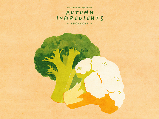 PSD 식물 예술 컬러 농업 채소 일러스트 식재료 자연 날씨 건강 요리 가을 신선 브로콜리 유기농 건강식 창작 컬리플라워 미각 국내일러스트 영양군 웰빙 계절 산업 음식 감각 경상북도 생태계 파일형식