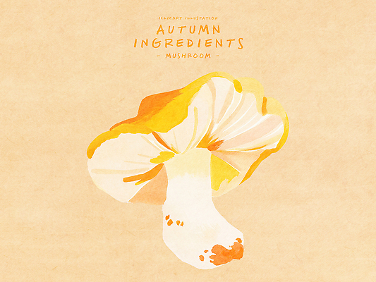 PSD 식물 계절 예술 음식 컬러 농업 일러스트 재료 자연 풍경 버섯 수확 가을 맛 그림 유기농 채색 뷰티풀 국내일러스트 웰빙 산업 컨셉 미술 생태계 파일형식
