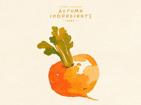 PSD 디자인 예술 컬러 채소 일러스트 재료 자연 수채화 건강 풍경 농작물 주방 가을 유기농 뷰티풀 비트 영감 국내일러스트 웰빙 계절 농업 생태계 파일형식