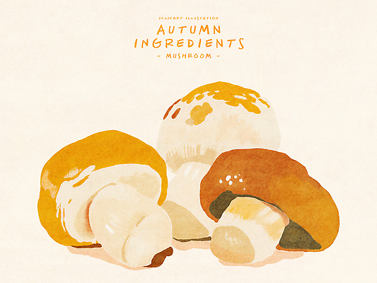 PSD 전통 음식 일러스트 식재료 재료 자연 건강 요리 야외 농장 버섯 수확 가을 맛 생태 수집 유기농 레시피 비타민 탐색 색감 국내일러스트 웰빙 계절 컨셉 농업 생태계 영양소 파일형식