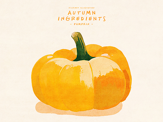 PSD 디자인 계절 예술 음식 컬러 일러스트 식재료 자연 탁자 호박 건강 요리 농작물 수확 가을 크기 질감 비타민 국내일러스트 가구 농업 채소 생태계 영양소 파일형식