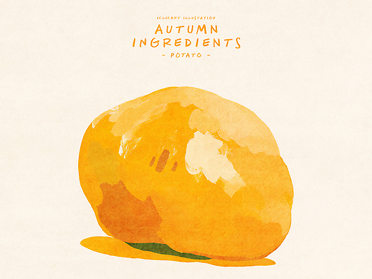 PSD 디자인 계절 예술 음식 상징 컬러 일러스트 재료 자연 수채화 감자 따뜻함 요리 농작물 가을 그림 부드러움 국내일러스트 농업 채소 감각 생태계 파일형식