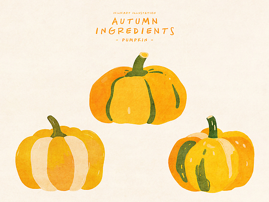 PSD 식물 디자인 예술 음식 컬러 채소 일러스트 재료 자연 호박 요리 풍경 그래픽 농작물 수확 가을 원형 그림 질감 셀프 국내일러스트 도형 계절 농업 생태계 파일형식