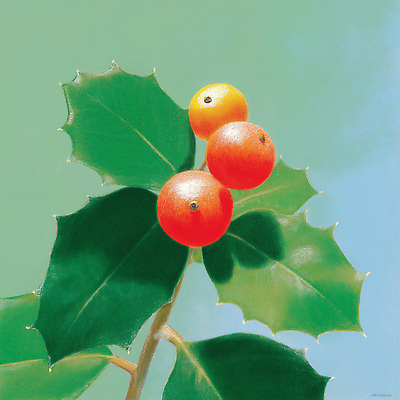 식물 계절 기념일 컬러 잎 채소 휴식 생태계 원예 파일형식 AI콘텐츠 열매 겨울 자연 가지 파란색 밝은색 생명 과일 정원 가지치기 풍경 산책 나무 나뭇잎 새싹 JPG 국내일러스트 일러스트 크리스마스 AI일러스트