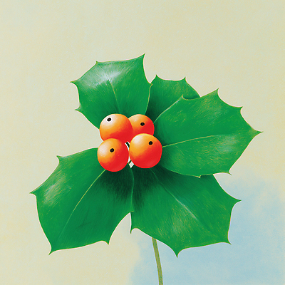 JPG 식물 디자인 열매 예술 컬러 백그라운드 잎 크리스마스 과일 일러스트 자연 생명 파란색 주황색 생태계 조화 뷰티풀 시기 국내일러스트 AI일러스트 AI콘텐츠 기념일 파일형식