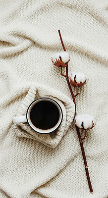 JPG 편집이미지 커피 음료 겨울 자연 휴식 면사포 따뜻함 취미 일상 인테리어 카페 편안함 조화 편집실사 AI포토 AI콘텐츠 디자인 계절 컨셉 라이프 상점 감각 CG 생태계 결혼소품 파일형식