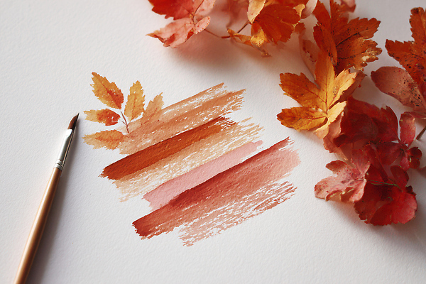 JPG 편집이미지 예술 컬러 낙엽 재료 자연 수채화 희망 가을 붓 공예 그림 조화 창작 편집실사 AI포토 AI콘텐츠 계절 감정 잎 취미 CG 생태계 파일형식