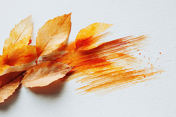 JPG 편집이미지 예술 컬러 백그라운드 잎 자연 따뜻함 물감 자유 금색 가을 표현 조화 마른잎 색감 창작 편집실사 AI포토 AI콘텐츠 식물 계절 컨셉 미술도구 CG 생태계 파일형식