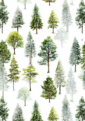 JPG 나무 식물 디자인 컬러 백그라운드 일러스트 자연 생명 풍경 야외 목재 초록색 여름 숲속 숲 시원함 생태계 조화 뷰티풀 차분 국내일러스트 AI일러스트 AI콘텐츠 계절 컨셉 재료 파일형식