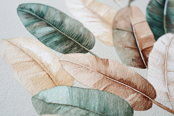 JPG 식물 디자인 예술 컬러 잎 일러스트 자연 수채화 장식 표현 편안함 배열 그림 유기농 질감 부드러움 조화 뷰티풀 국내일러스트 AI일러스트 AI콘텐츠 웰빙 감각 생태계 파일형식