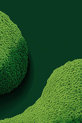 JPG 식물 디자인 컬러 백그라운드 일러스트 자연 생명 따뜻함 이끼 풍경 초록색 신선 조직 생태계 질감 조화 뷰티풀 국내일러스트 AI일러스트 AI콘텐츠 파일형식