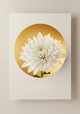 JPG 식물 편집이미지 디자인 꽃 백그라운드 자연 조명 국화 장식 금색 흰색 화려 우아함 조화 뷰티풀 디테일 편집실사 AI컴퓨터그래픽 AI콘텐츠 컬러 컨셉 CG 생태계 파일형식