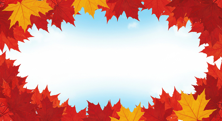 JPG 나무 편집이미지 계절 공원 단풍 잎 자연 하늘 바람 날씨 풍경 빨간색 노란색 평화 가을 뷰티풀 이미지편집 AI컴퓨터그래픽 AI콘텐츠 자연요소 식물 공공시설 컬러 컨셉 생태계 파일형식